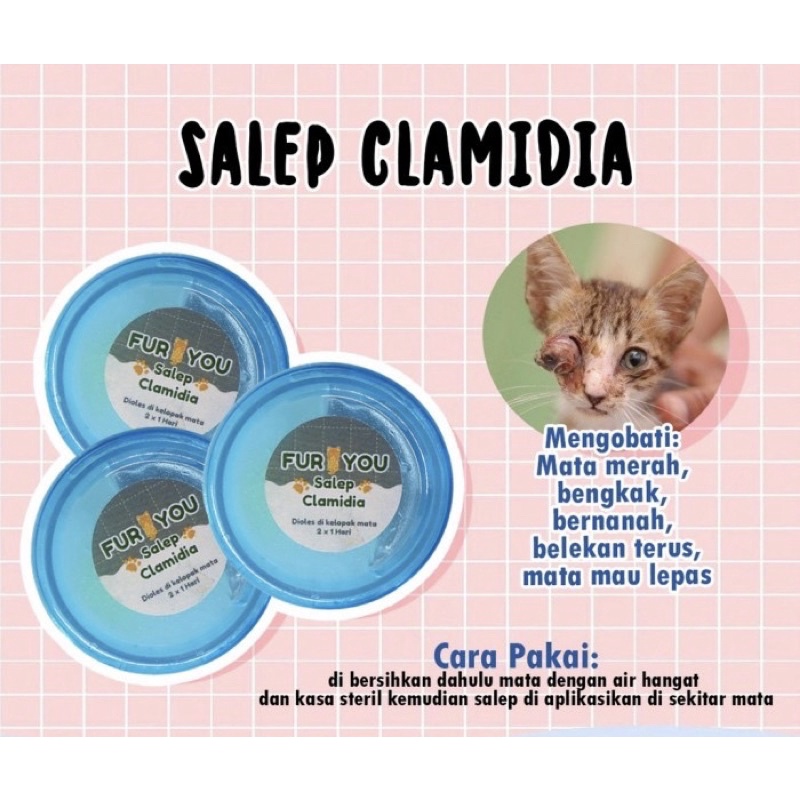 Salep clamidia - mata kucing copot lepas nanah bengkak merah