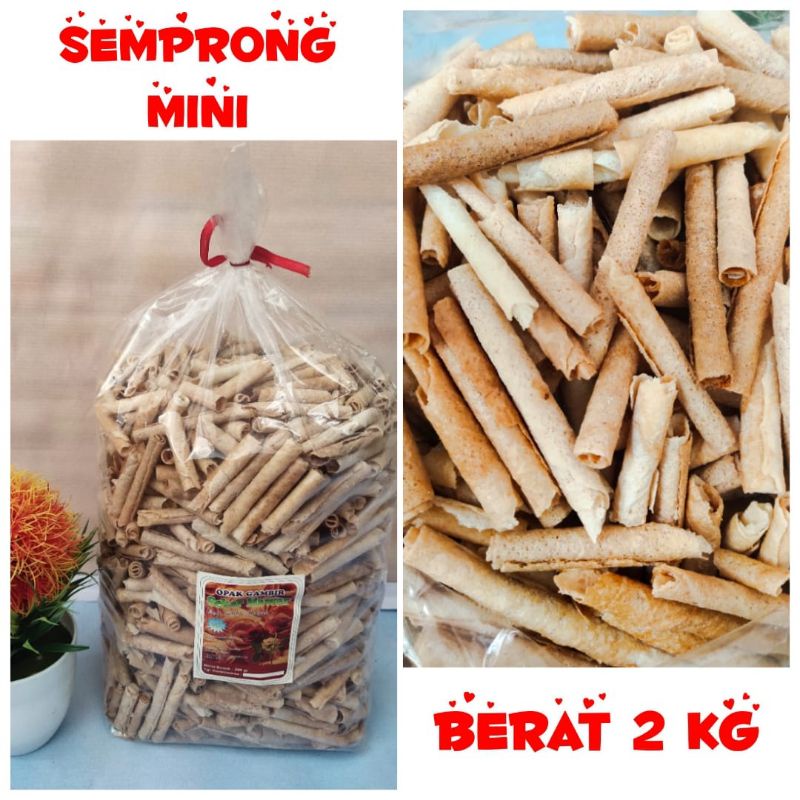 

SEMPRONG MINI
