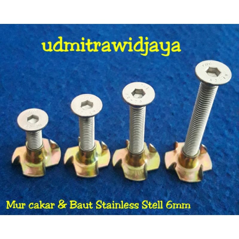 Baut speaker M6 stainless baut mur cakar 6mm baut box speaker baut tirus verseng ss flat socket L