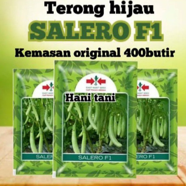 BENIH BIBIT TANAMAN PERTANIAN BUAH DAN SAYURAN HIDROPONIK TERONG