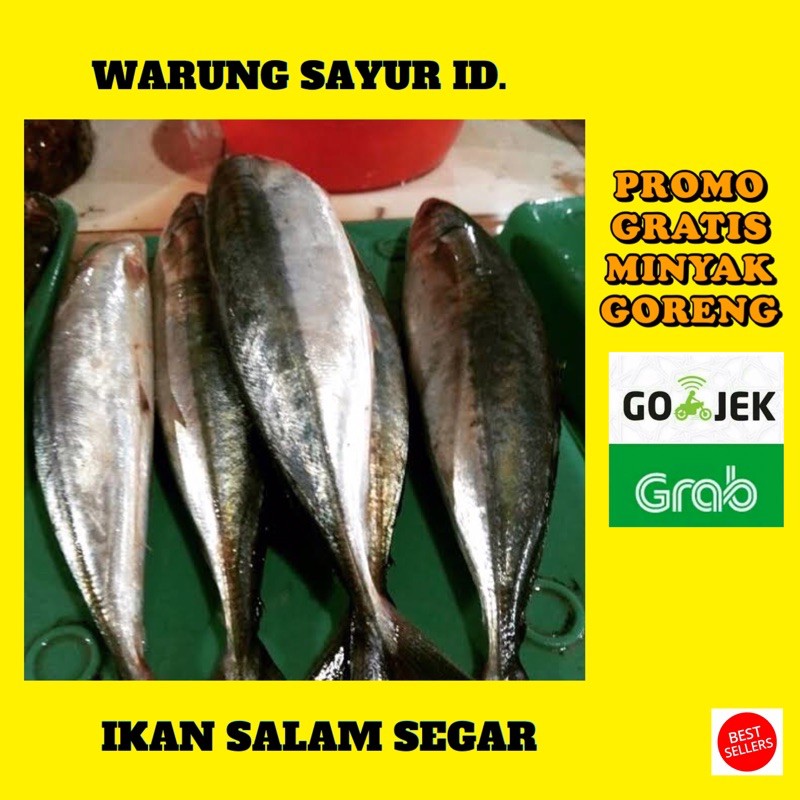 

IKAN SALEM SEGAR 500 GRAM