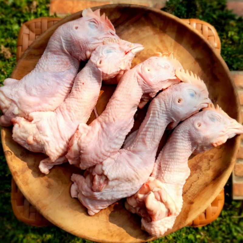 

kepala ayam segar 500gr