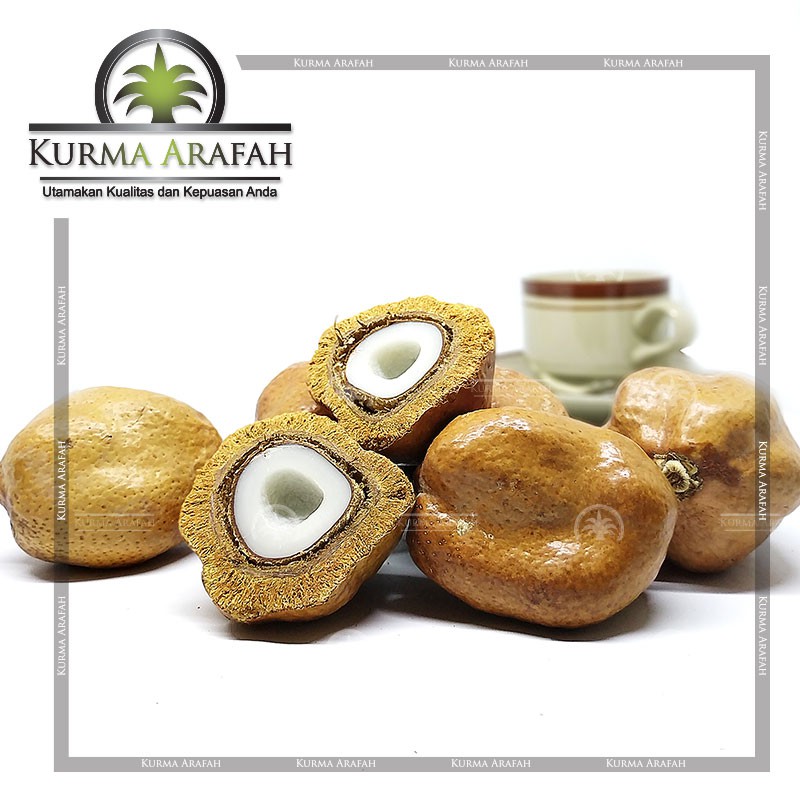 Buah Zuriat / Zuriat Promil 1 BUAH/BIJI ORIGINAL