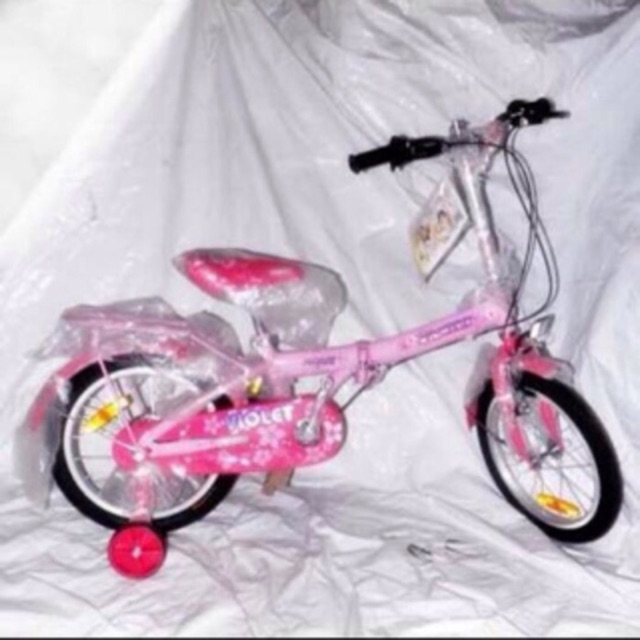 Sepeda Anak Lipat Family Violet 16