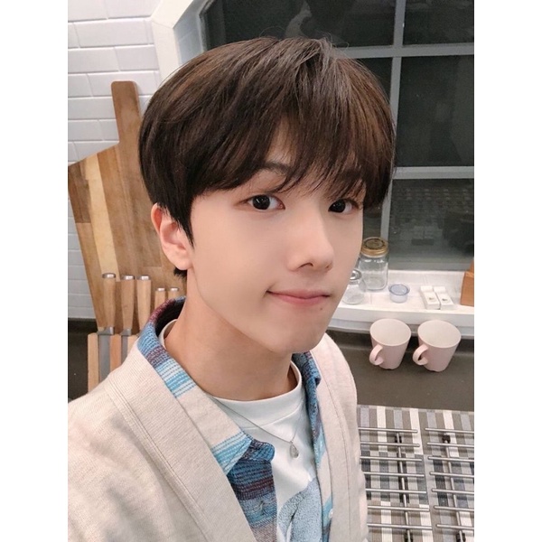 link co js mumo universe