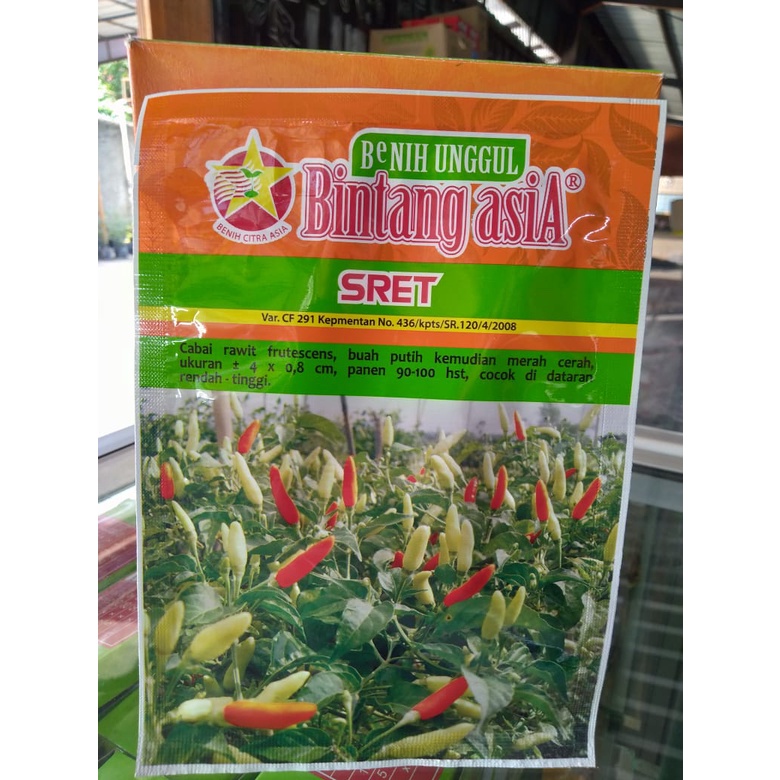 Sret 10gr Benih Cabe Rawit Bintang Asia 100% Original Dewata Seta Super