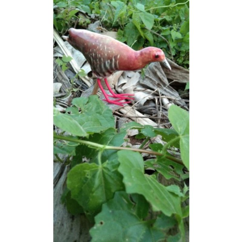 PATUNG JONTROT BURUNG TIKUSAN