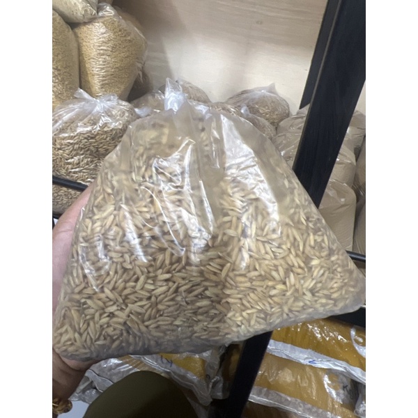 Gabah padi ayam/ pakan ayam atau burung 500gr
