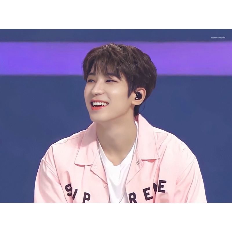 Pelunasan Album SEVENTEEN Your Choice x mecima batch 1