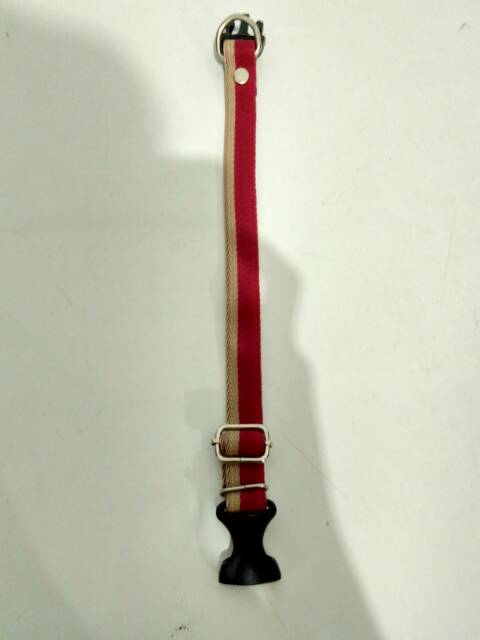 Collar 2,5cm polos