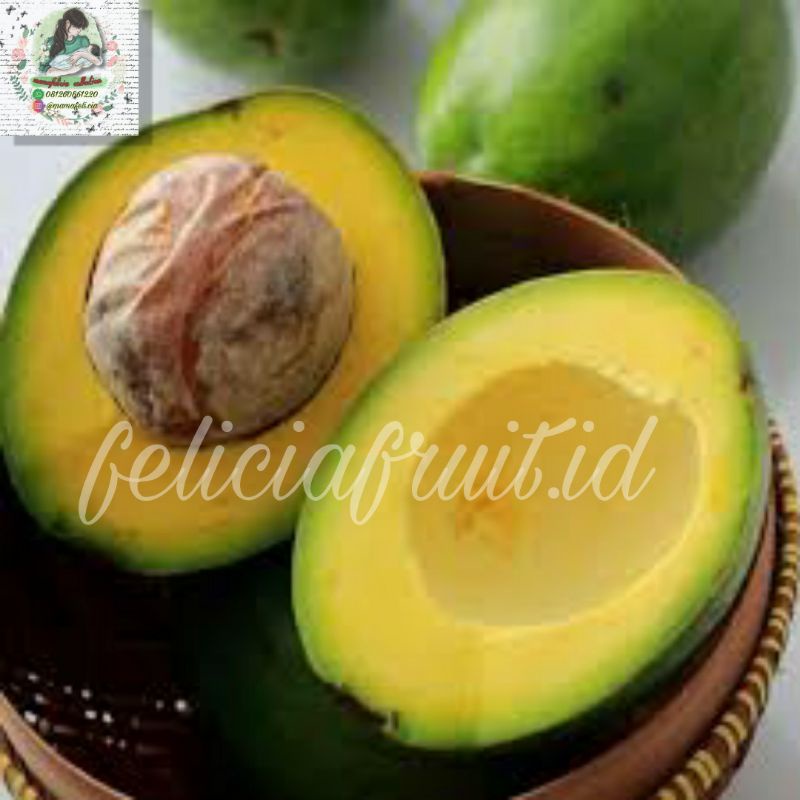 

Alpukat Mentega