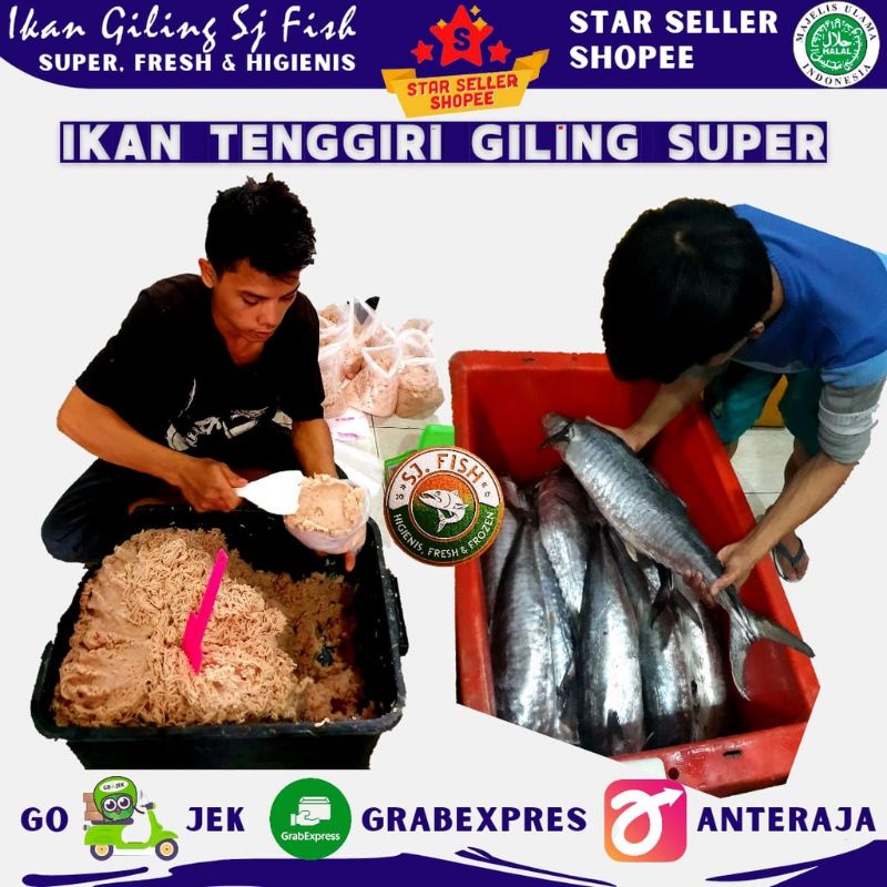 

IKAN TENGGIRI GILING BATANG / BULAT / JANTAN