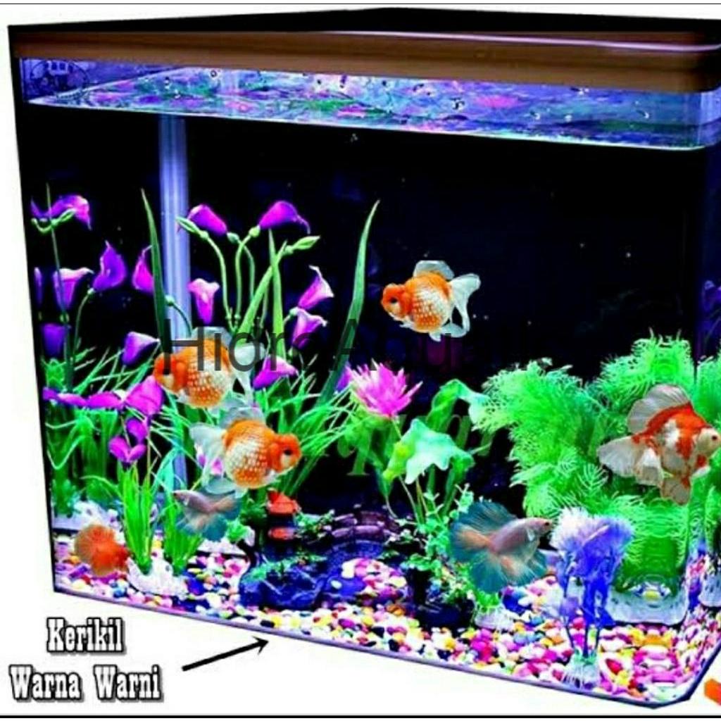 PROMO ISI 1KG Batu Warna Warni Hiasan aquarium / Batu Warna hiasan pot tanaman / Batu taiwan ISI 1 KG