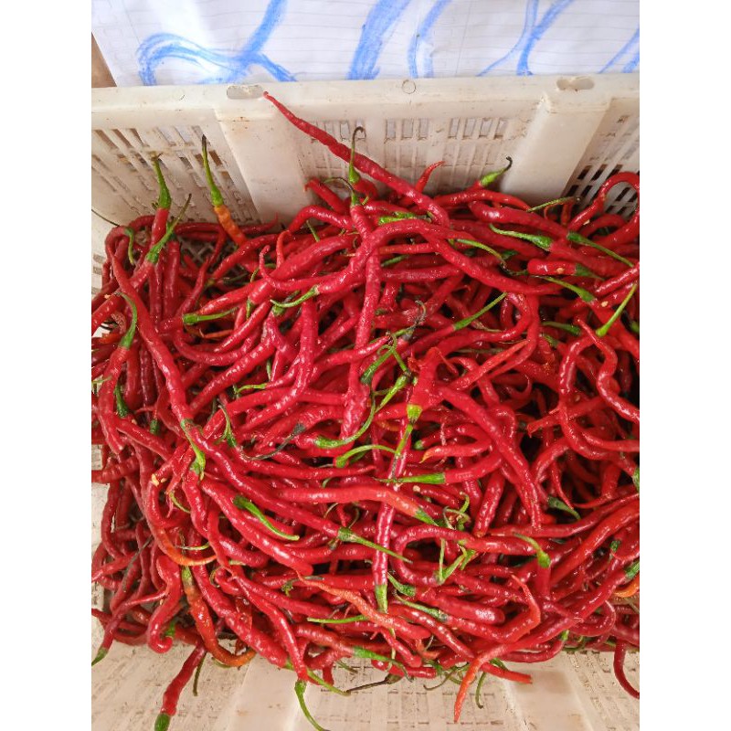 

cabe merah/cabemerahpanjang/250 g