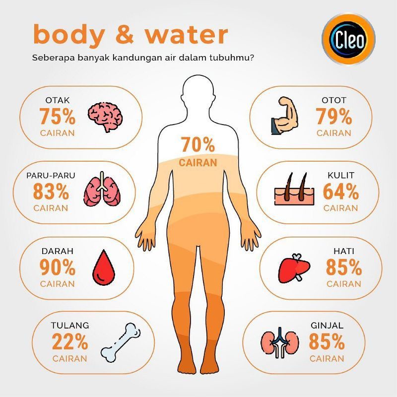 Air Minum Cleo Oksigen Oxygen Water 100 ppm