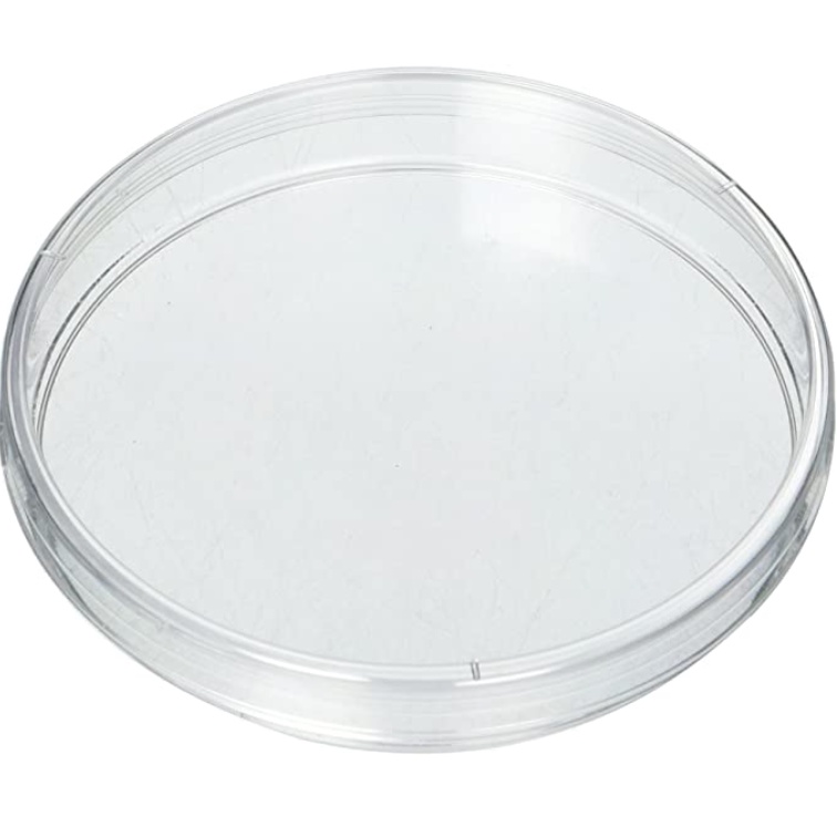 Petri Disk / Cawan Petri