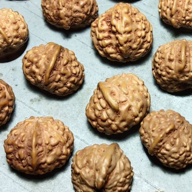 Rudraksha ganesha jenitri sirip belalai