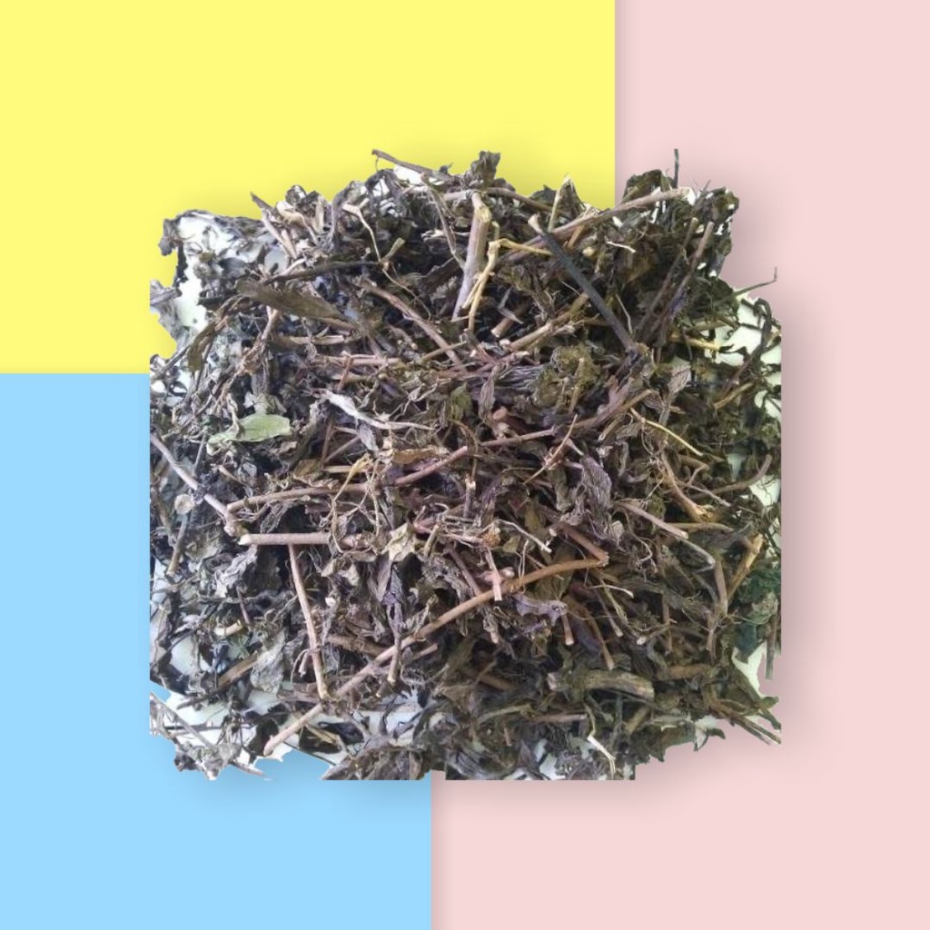 

Daun Kumis Kucing Kemasan 30 gr