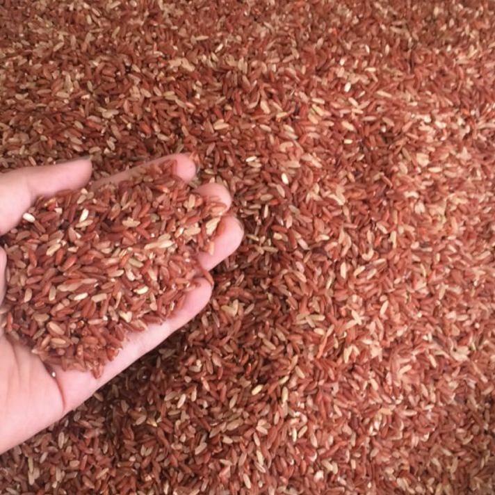 

⚡uper Kejutan Beras Merah Murah 1 Kg Untuk Konsumsi harga bersaing