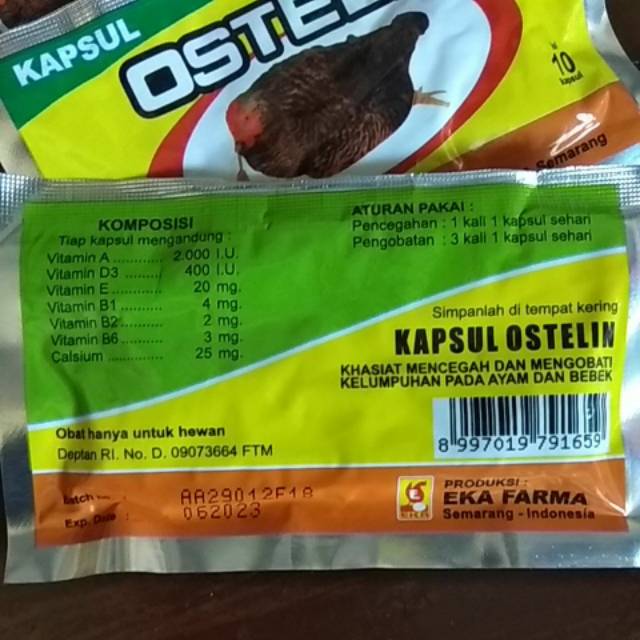 obat ayam lumpuh OSTELIN Eka farma
