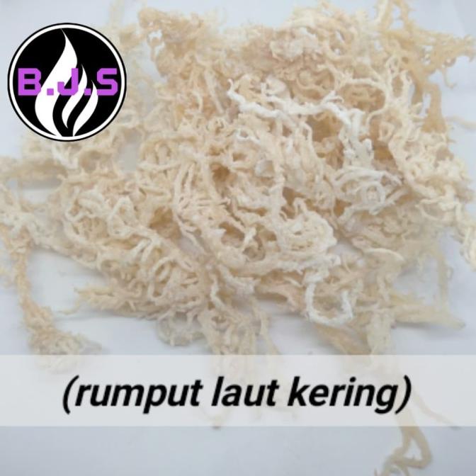 

SALE NOW RUMPUT LAUT KERING/DRIED SEAWEED 1/4KG PENGIRIMAN CEPAT