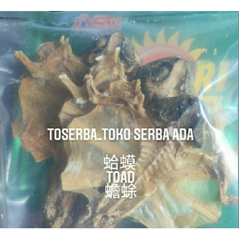 

1 Ekor Ha Ma Gan 蛤蟆干 Toad Katak Kering Premium