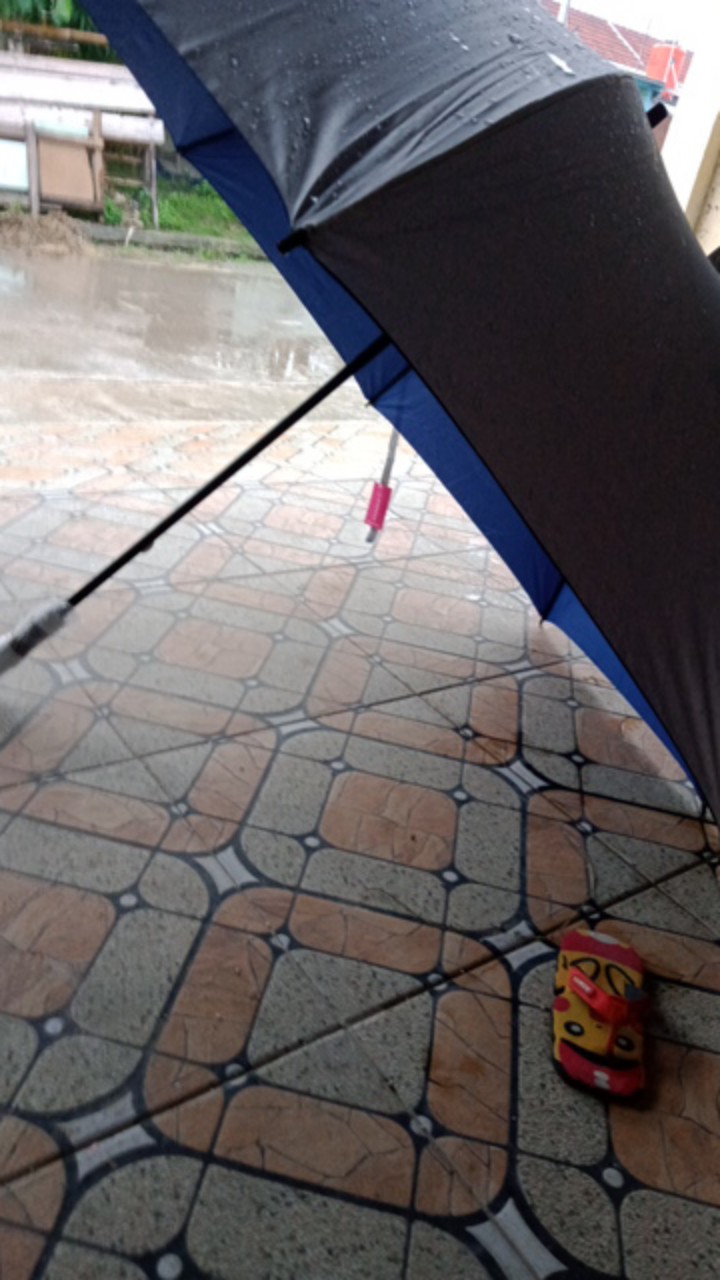 Payung Golf Silver Promosi / Penting Baca Deskripsi