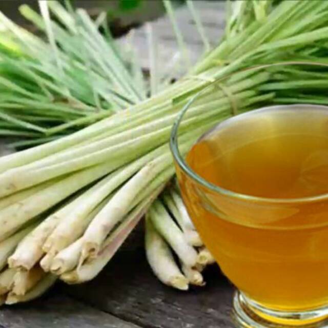 

Serai Wangi Herbal 500 GRAM (Non Pestisida Dan Non Pupuk Kimia)