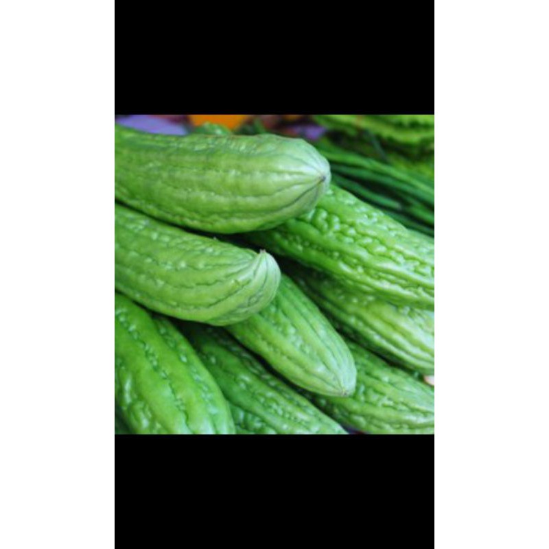 

Paria 500g