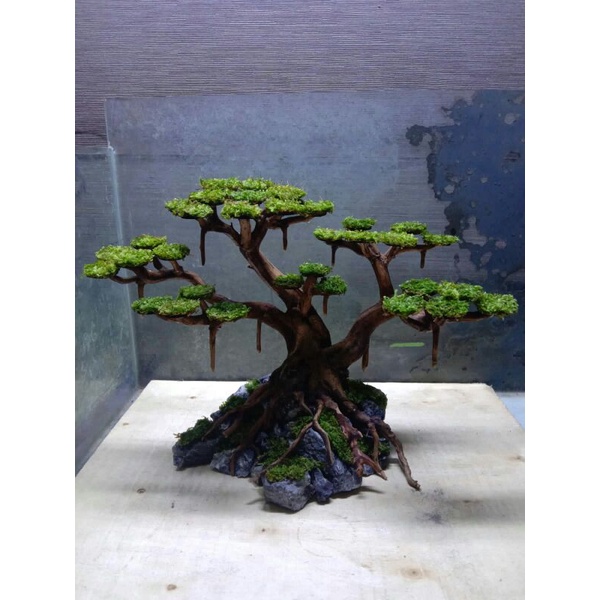 bonsai aquascape free moss