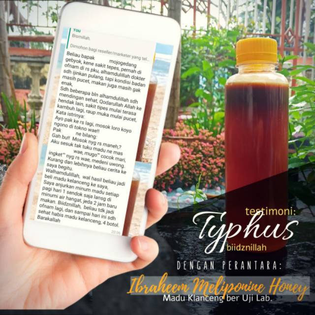 Madu klanceng/madu trigona 100% murni