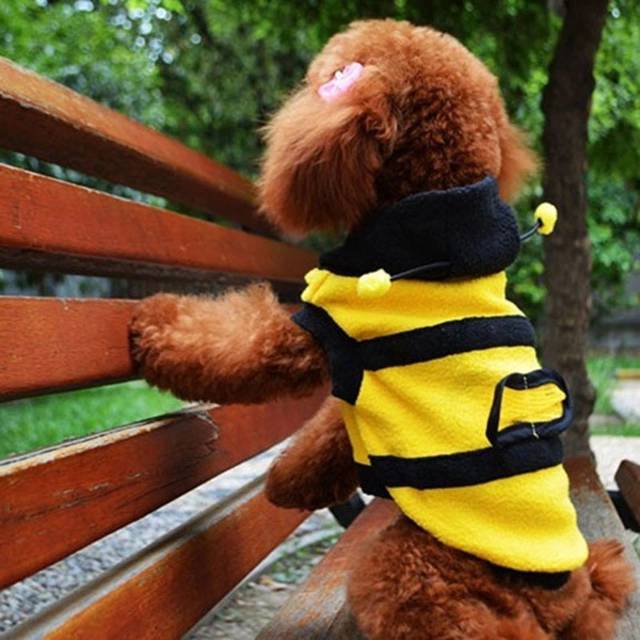 hoodie anjing kucing baju kostum lebah bee kuning