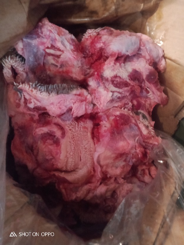 Kunci Hasp Lock 4 Soligen (overpal 4 Soligen)