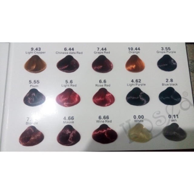 Kosea Professional Hair Color 2 x 100ml (BESAR)