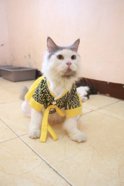 Dress hanbok batik kuning lucu untuk kucing dan anjing lucu size S-XL