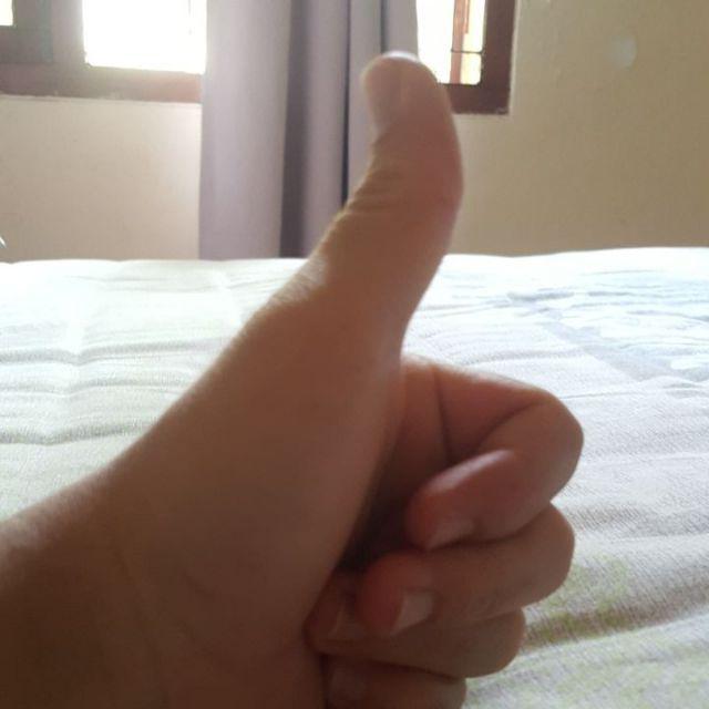 Palmsuiker Pigo 200 Gram Campuran Roti Kue Kopi Dll