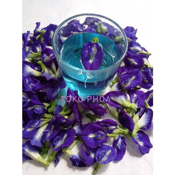 

Bunga Telang Kering kemasan 10 gr