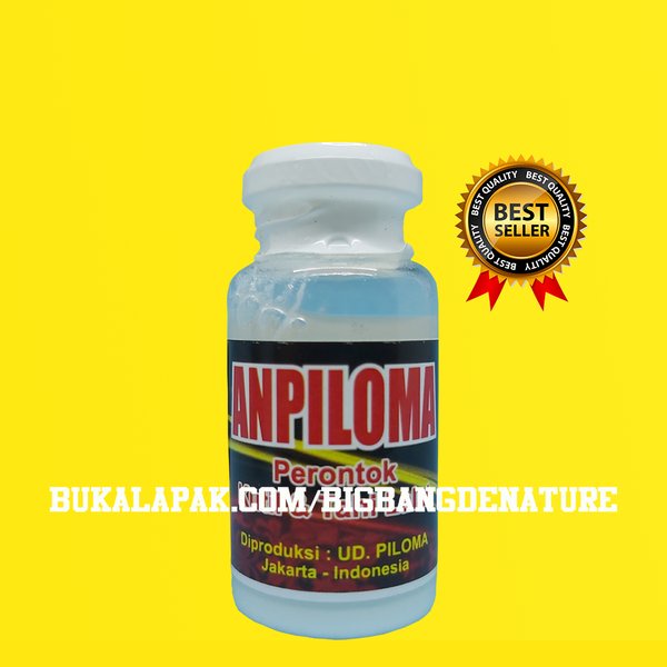 

Herbal Pilihan SALEP ANPILOMA Asli Obat Kutil Kelamin Kondiloma AMPUH Perontok Kutil Tahi Lalat Obat