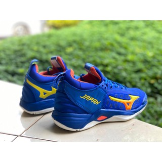 Jual Sepatu Voli Mizuno Wave Momentum Japan Cod Shopee Indonesia