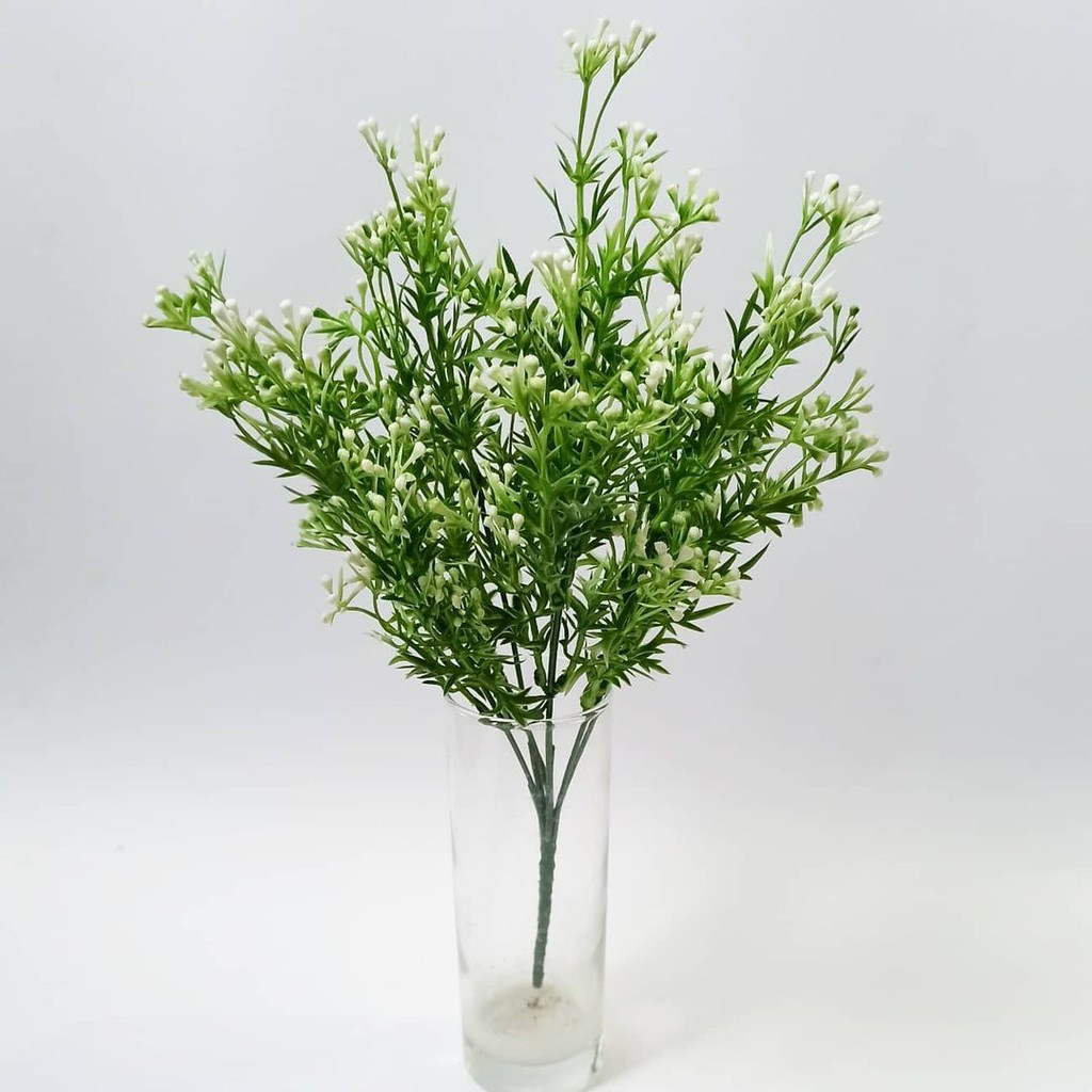 Baby's Breath 2053