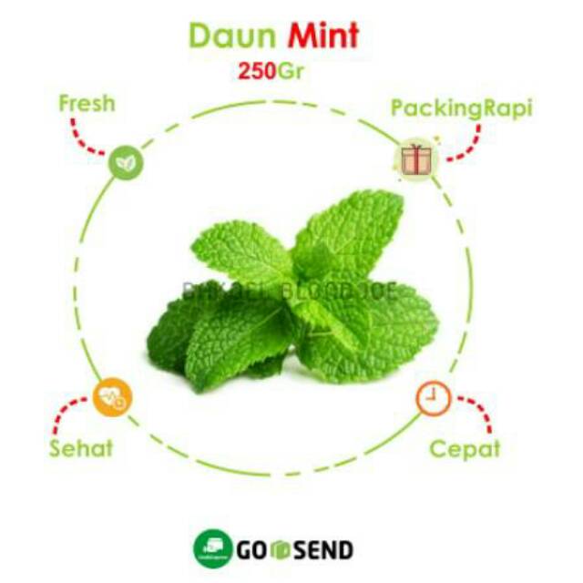

DAUN MINT HERBAL PACK MURAH / MINT LEAVES / FRESH VEGETABLES / VEGETABLE / SAYUR SAYURAN SEGAR