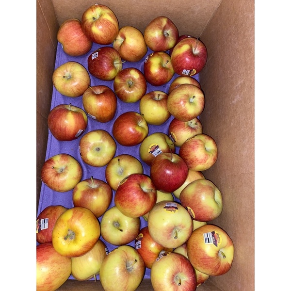 

promo apel ambrosia gold / apple ambrosia gold 1kg fresh termurah