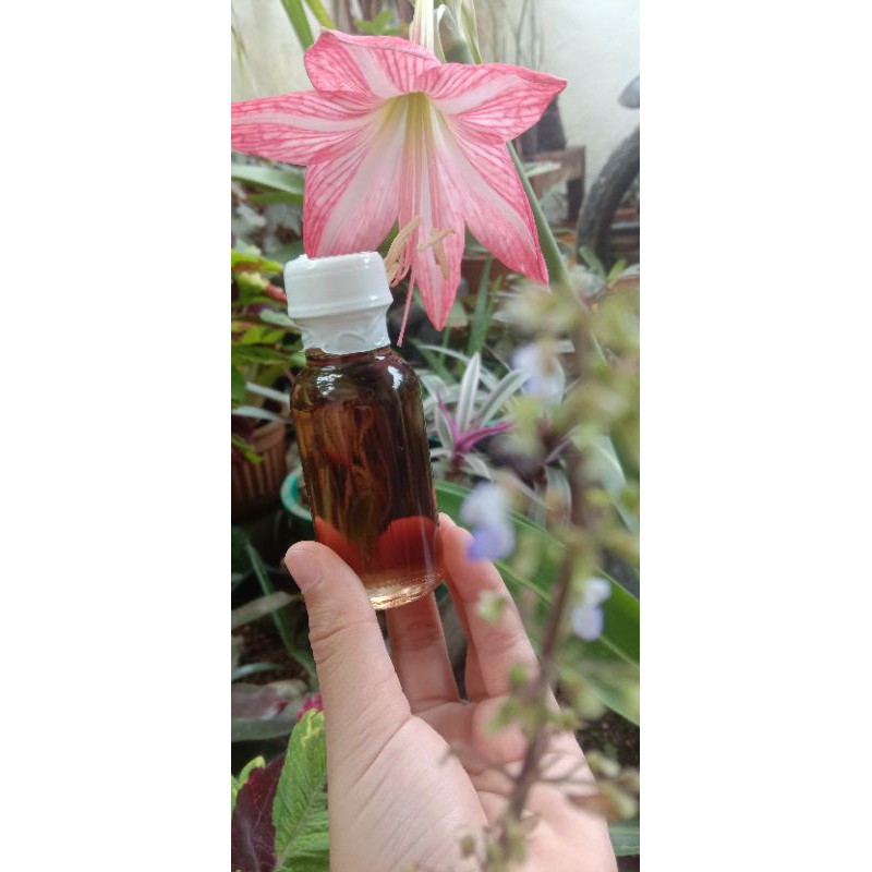 

Minyak cengkeh 20 ml
