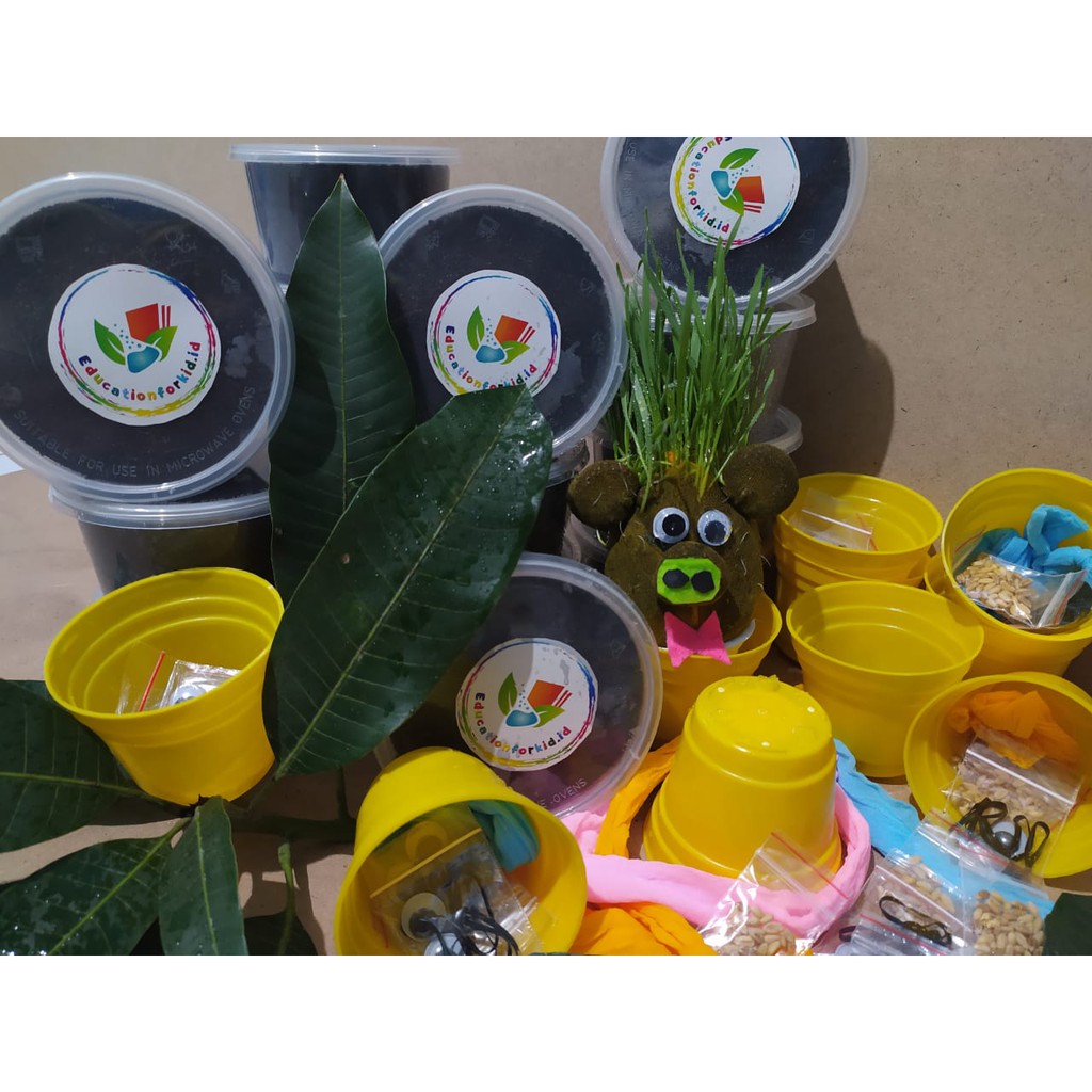MAINAN EDUKASI TANAMAN LUCU / EDUCATION FOR KID TANAMAN LUCU