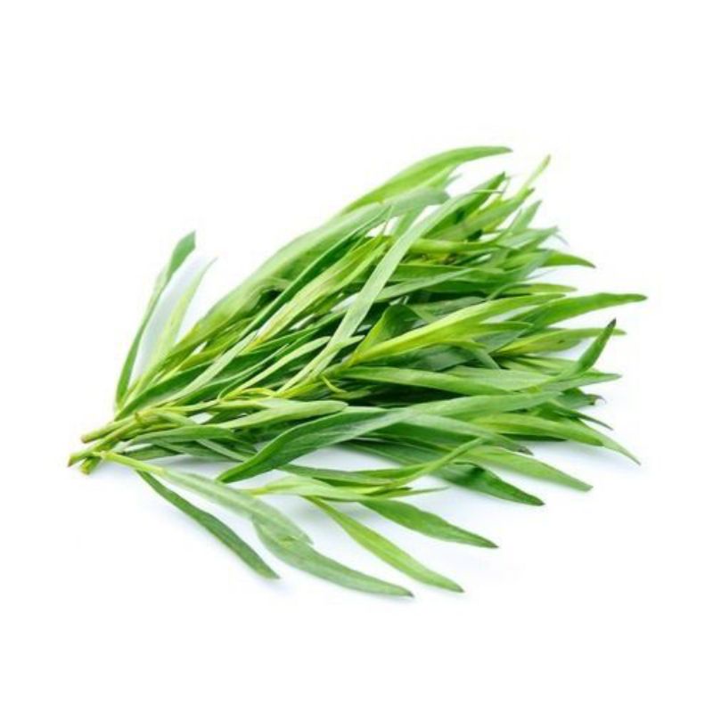 

Tarragon Pack 50gr, Bumbu Masakan, Tanaman Herbal, Rempah Aromatik