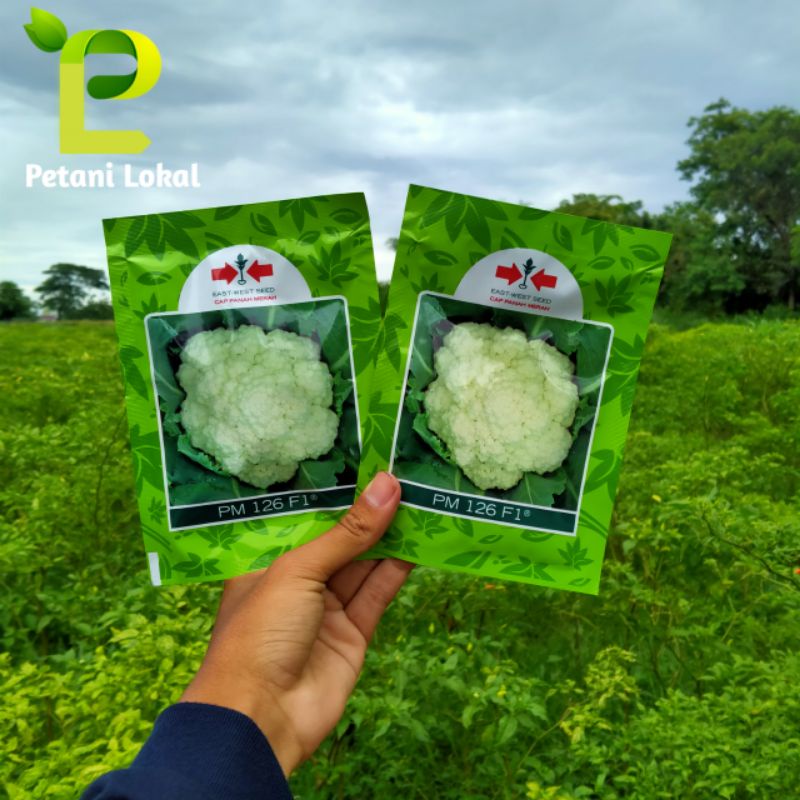 Benih Bunga Kol PM 126/Benih Bungkol/Brokoli Cap Panah Merah
