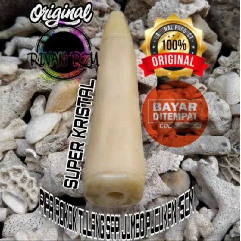 PIPA CANGKLONG TULANG SAPI IMPORT JUMBO