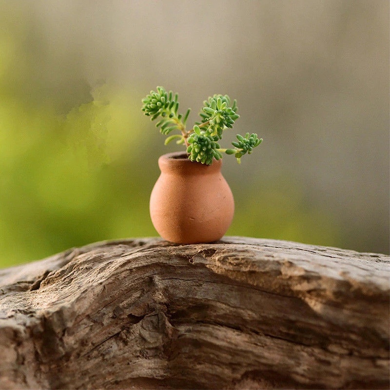 [Indoor &amp; Outdoor Mini Terracotta Round Dollhouse Flower Plant Pots] [1:12 Miniatures Decora Vase DIY Dollhouse / Succulent Nursery Pots For Flower Plants Crafts]