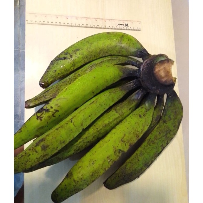 

pisang tanduk