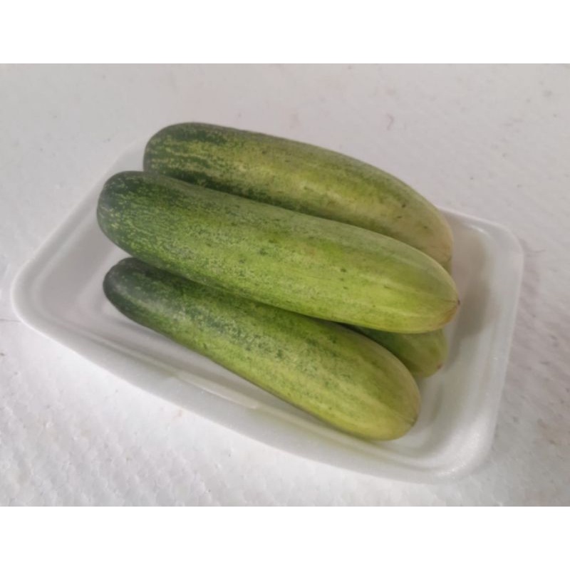 

TIMUN SAYUR PRESS 500 g